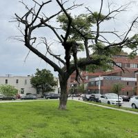 The Hall of SELF - Outdoor Classes ico