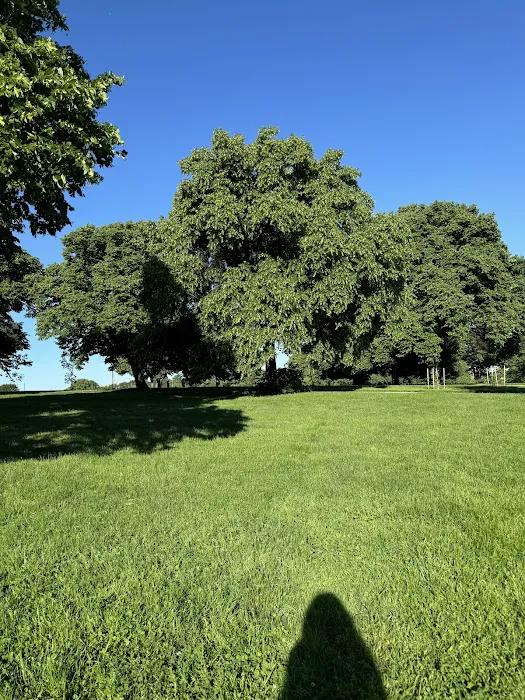 The Hall of SELF - Outdoor Classes Picture 3