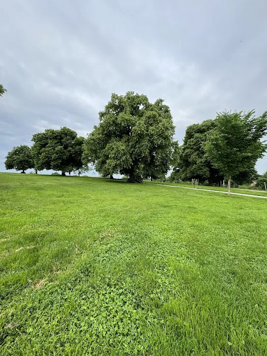 The Hall of SELF - Outdoor Classes Picture 2