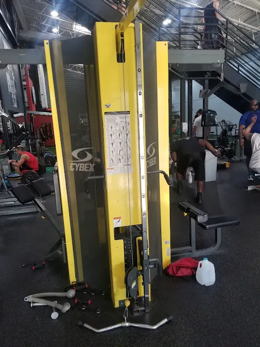 Gold's Gym Picture 5