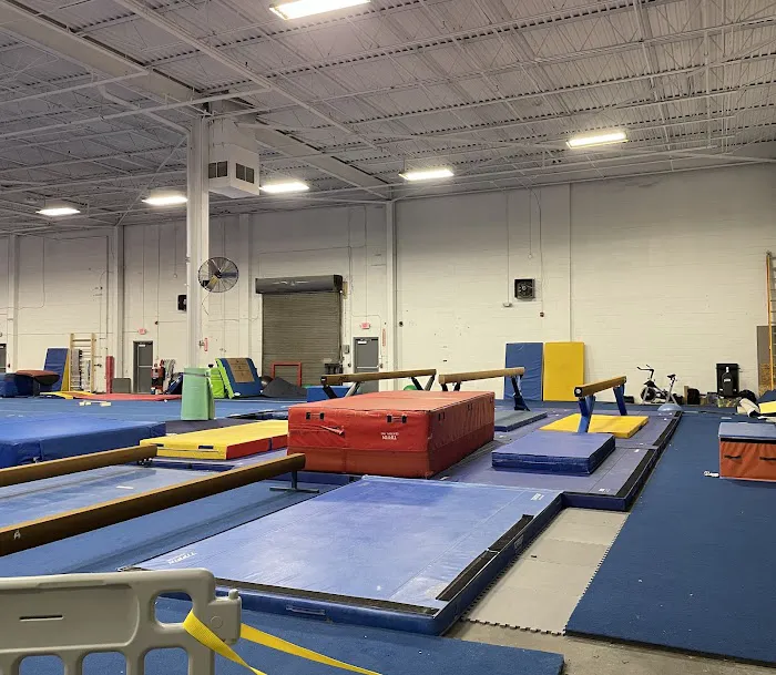 Warriors Academy of Gymnastics Picture 7