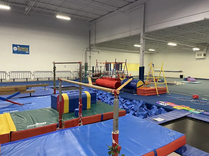Warriors Academy of Gymnastics Picture 6