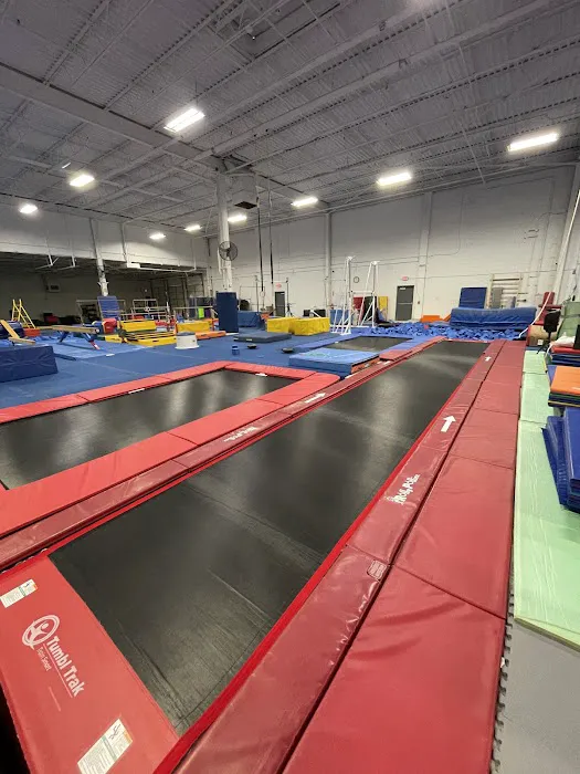 Warriors Academy of Gymnastics Picture 1