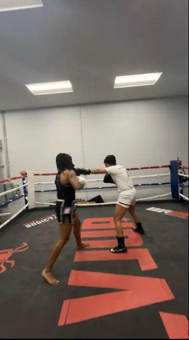 Glove Up Boxing and Fitness Picture 8