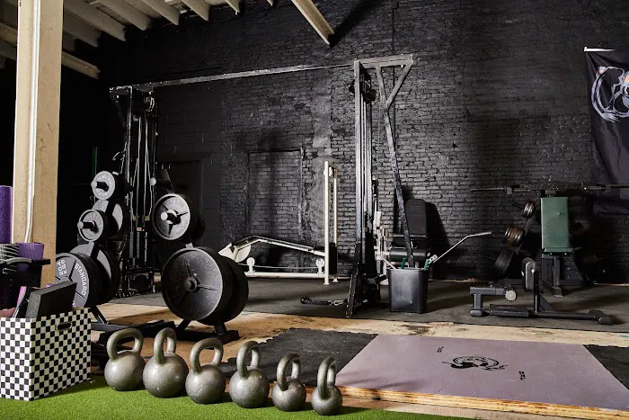 JK Barbell Picture 8