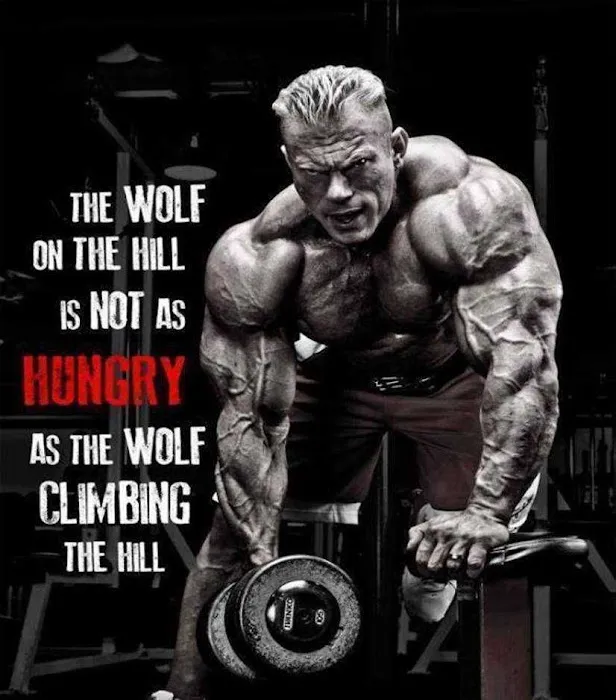 Dr Wolf Picture 1