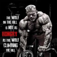 Dr Wolf ico