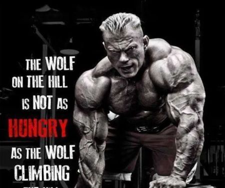 Dr Wolf
