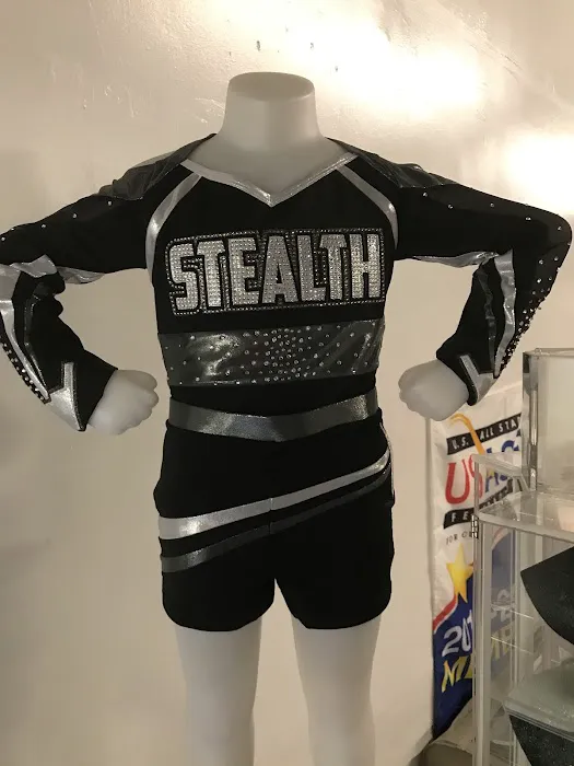 Stealth All Stars Picture 3