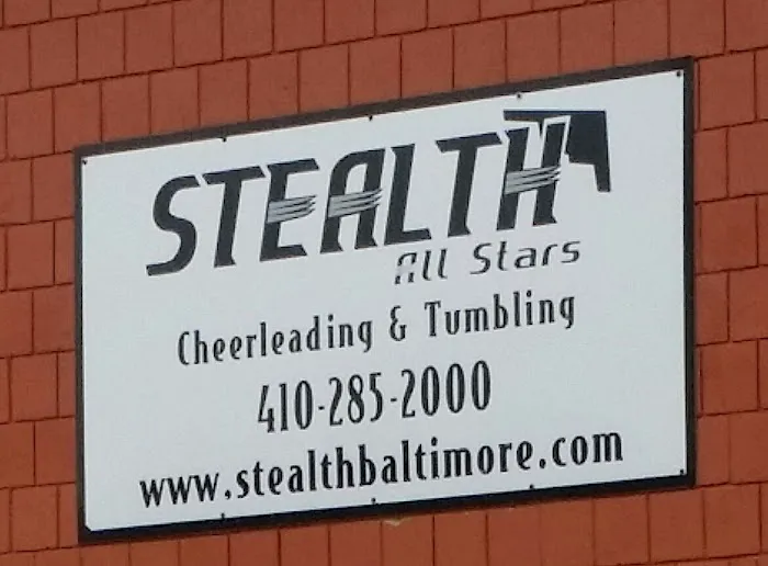 Stealth All Stars Picture 1