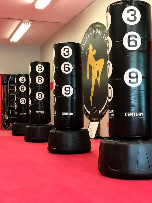 American Muay Thai & American Boxing Academy Picture 3