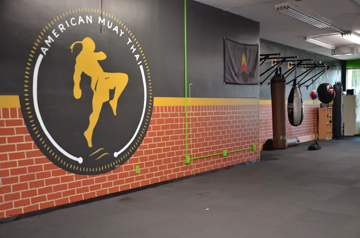 American Muay Thai & American Boxing Academy Picture 6