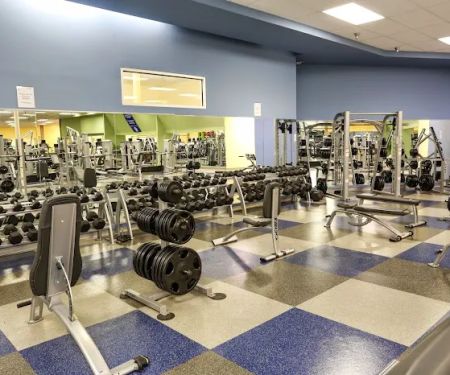 The Y in Parkville