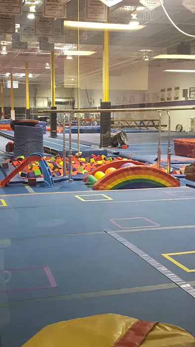 All Pro Gymnastics Elite Training Center Picture 4