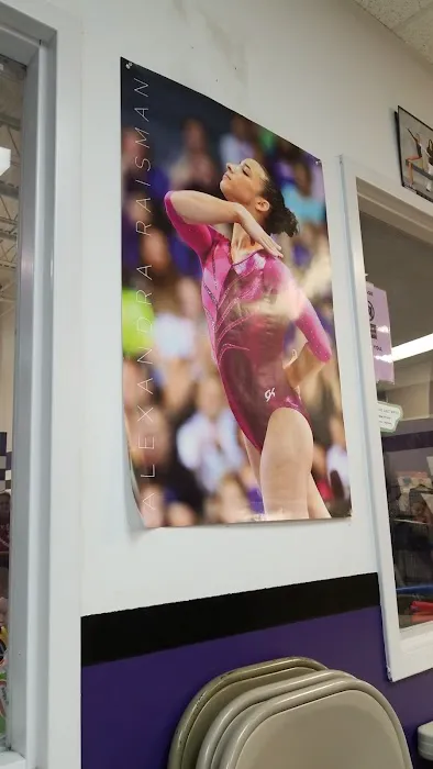All Pro Gymnastics Elite Training Center Picture 7