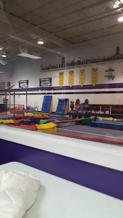 All Pro Gymnastics Elite Training Center Picture 6