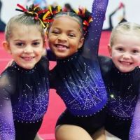 All Pro Gymnastics Elite Training Center ico