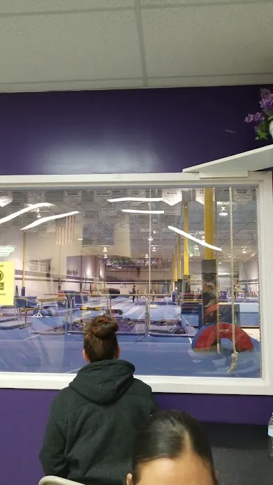 All Pro Gymnastics Elite Training Center Picture 3