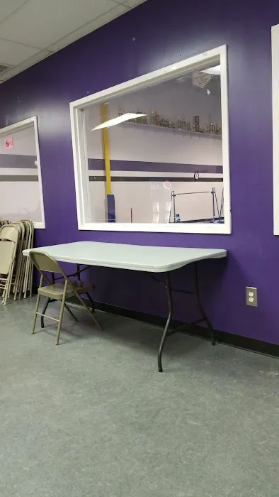 All Pro Gymnastics Elite Training Center Picture 2