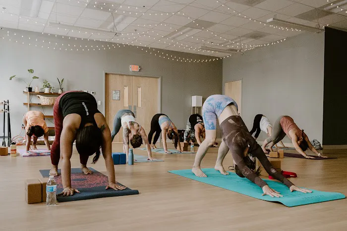 The Nest Movement Studio Picture 2
