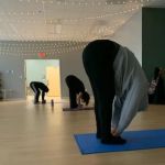 The Nest Movement Studio