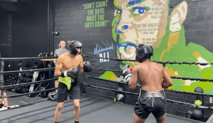 Elite Boxing & Fitness Gym Picture 3