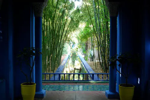 The Yoga Center of Columbia Picture 9