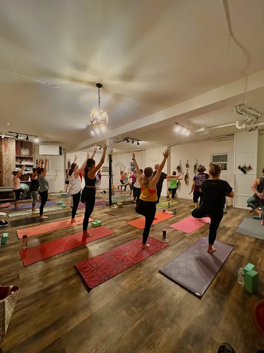 Yoga Barn Picture 6
