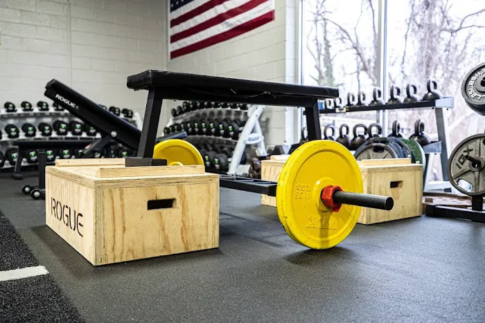 FORZE ATHLETE Picture 5