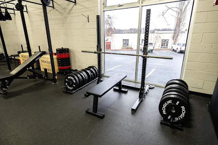 FORZE ATHLETE Picture 2