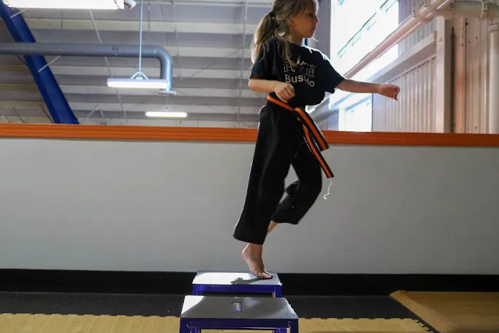 Spunk Fitness Golden Ring Picture 4