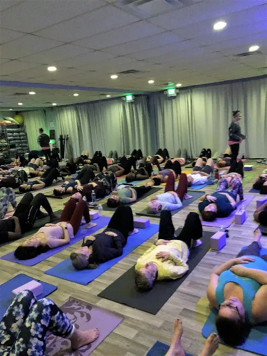 Baltimore Hot Yoga and Wellness Picture 8