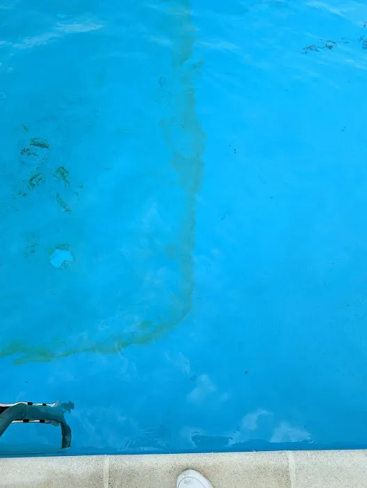 King Court Pool Picture 3