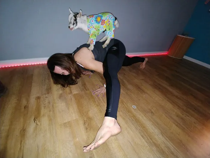 BreakAway Yoga Studio Picture 9