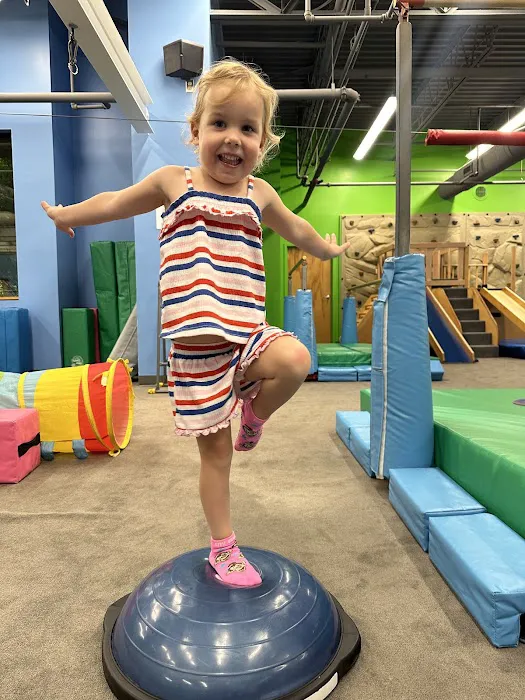 My Gym Children's Fitness Center Picture 7