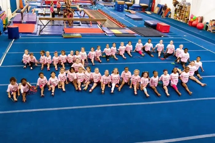 Win-Win Gymnastics Picture 2