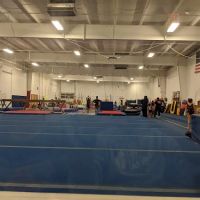 Win-Win Gymnastics ico