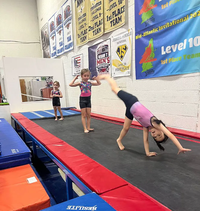 Paragon Gymnastics Picture 4