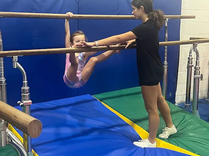 Paragon Gymnastics Picture 3