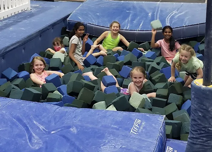 Paragon Gymnastics Picture 1