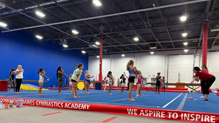 Dominique Dawes Academy Picture 1