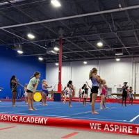 Dominique Dawes Academy ico