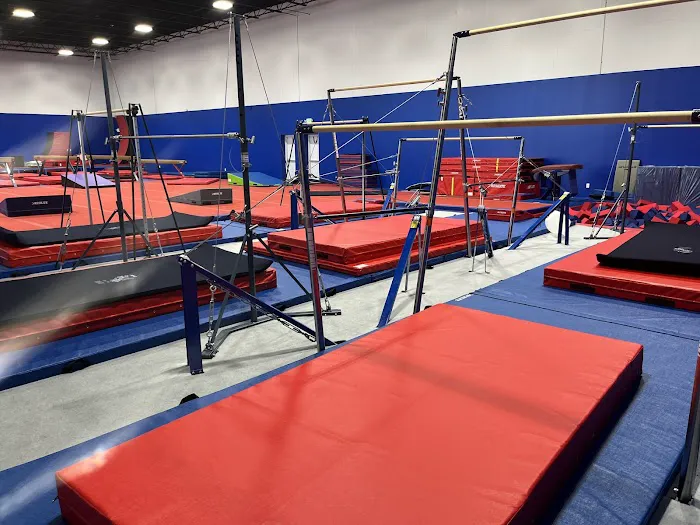 Dominique Dawes Academy Picture 8