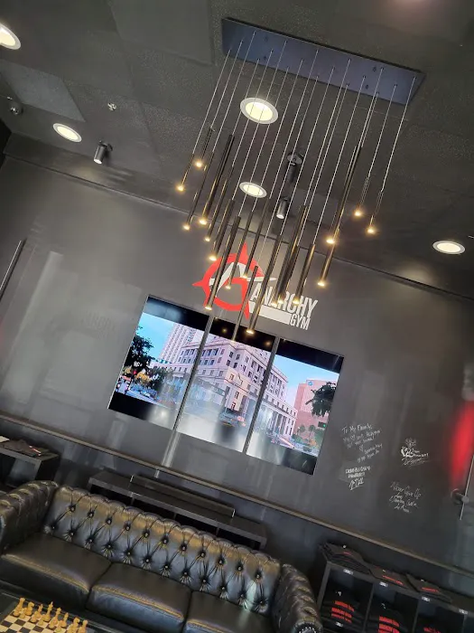 Anarchy Gym Picture 2