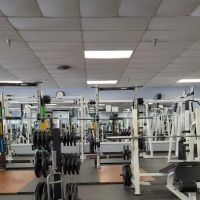 Living Fit Club ico