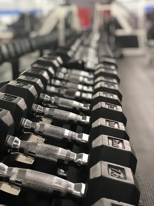 Living Fit Club Picture 3