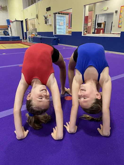 Rebounders Gymnastics Picture 4