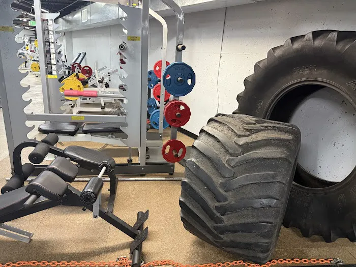 Interactive Fitness Gym & MMA Picture 4
