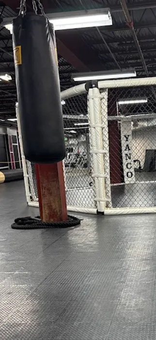 Interactive Fitness Gym & MMA Picture 9
