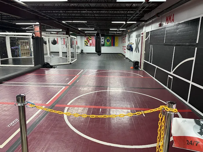 Interactive Fitness Gym & MMA Picture 6
